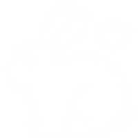Cruelty Free